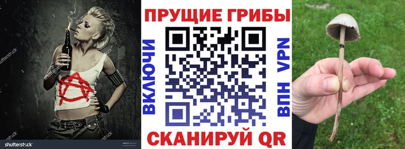 Галлюциногенные грибы мухоморы  Мглин 